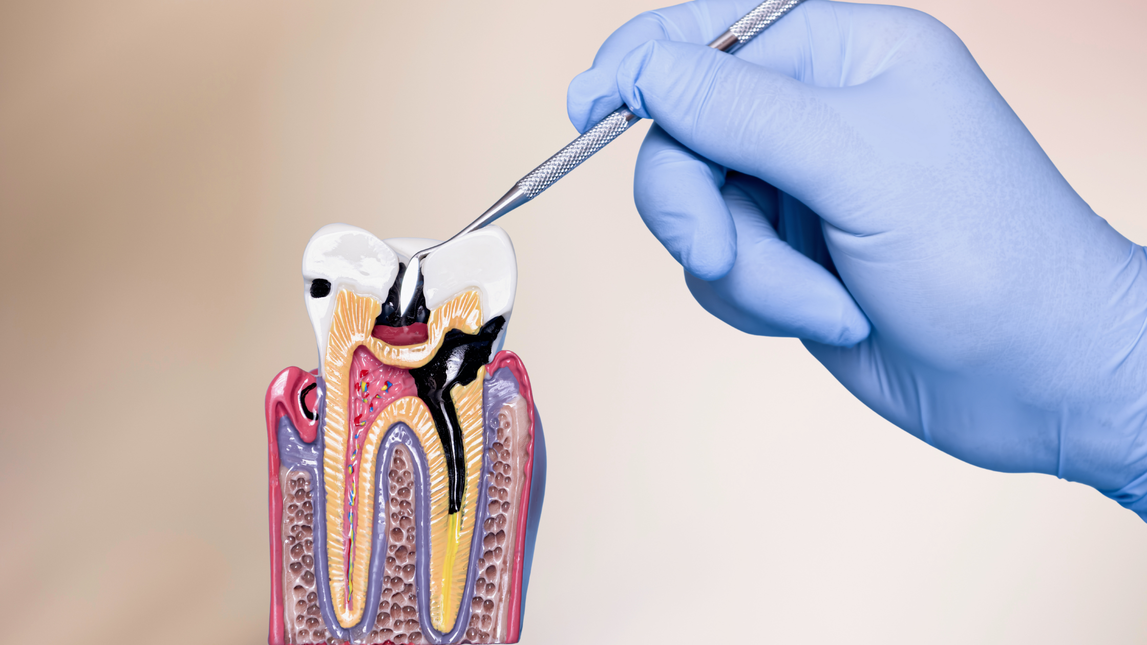 Best Dental Clinic in Ahmedabad